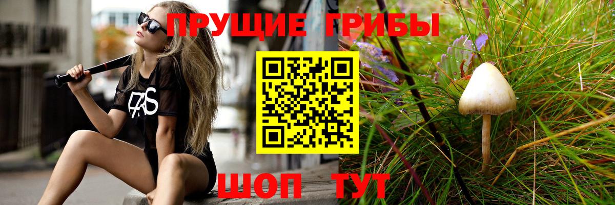 Магнитогорск  Псилоцибиновые грибы MAGIC MUSHROOMS  Псилоцибиновые грибы прущие грибы  Вход с VPN 