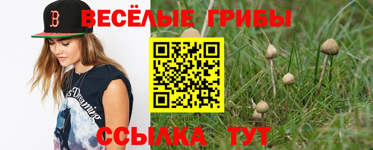 Псилоцибиновые грибы прущие грибы Магнитогорск